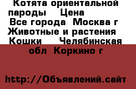 Котята ориентальной пароды  › Цена ­ 12 000 - Все города, Москва г. Животные и растения » Кошки   . Челябинская обл.,Коркино г.